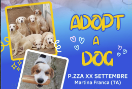 "Adopt a dog", dalla parte degli amici a quattro zampe