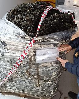 Maxi sequestro di cozze: 1.800 chili senza tracciabilità, scatta la multa