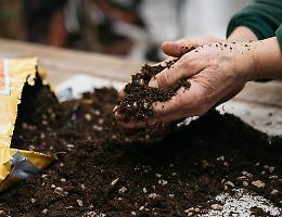 Terricci Vigorplant: guida per scegliere quello giusto per le tue piante