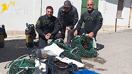 Blitz della Finanza sul pescato irregolare: sequestrate 2 tonnellate in tutta la Puglia