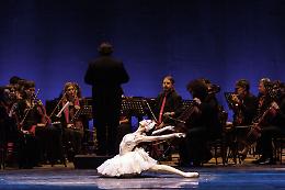 Da Saint-Saëns ai Beatles: la danza del Balletto del Sud e l'Orchestra Oles 