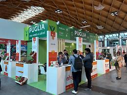 Ortofrutta pugliese protagonista al MacFrut: innovazione, export e sostenibilità per le sfide del futuro. Le foto