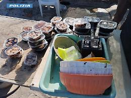 Condizioni igieniche inaccettabili, sequestrati 120 chili di cozze: tre denunce