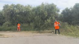 Paparicotta, terra abbandonata: la minaccia Xylella torna a far paura. Le foto