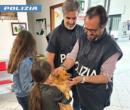 Ruba un cagnolino da una villa: denunciato