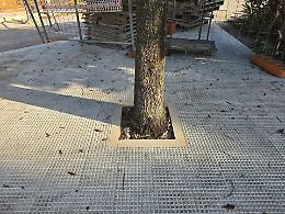 A Martina Franca esplode la polemica sulle aiuole “soffocate” dal cemento