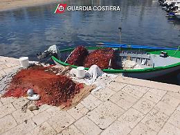 Sequestrata una rete da pesca illegale lunga 5 km: sanzionato un diportista a Torre a Mare