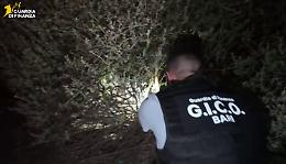 Droga e riciclaggio, blitz all'alba: 12 arresti, smantellata una rete legata al clan Parisi