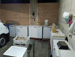 Box abusivo e ristorante di cucina etnica, sequestrati oltre 1.700 kg di pesce