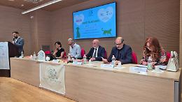 Presentato il Prontuario per il soccorso di cani vaganti e gatti liberi in stato di necessità