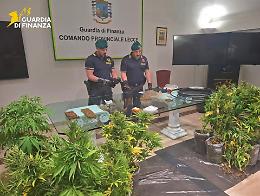 Armi, munizioni da guerra e una piantagione di marijuana nell’agro leccese
