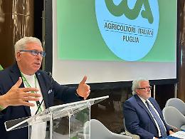 Energie rinnovabili e suolo agricolo, "Il terreno non è sacrificabile, va tutelato come bene comune"