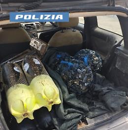Cozze proibite, scattano le denunce. I retroscena del blitz