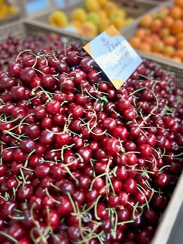 Esplode il consumo di frutta: +25% con il caldo record di giugno