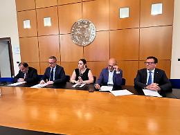 Cooperative in Puglia, numeri in calo ma più forza sul mercato: oltre 4 miliardi di fatturato e 78.000 occupati