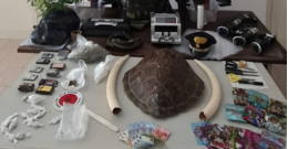 Droga e armi, arrestati un 21enne e la nonna. Avevano anche un giubbotto anti-proiettile e zanne d’avorio 