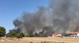 Emergenza caldo e incendi, Di Bello lancia l’allarme: “Serve un’ordinanza urgente”
