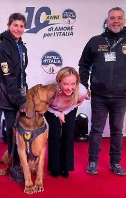 Bruno, il cane-eroe ucciso a Taranto: la premier Meloni lo ricorda con un messaggio struggente