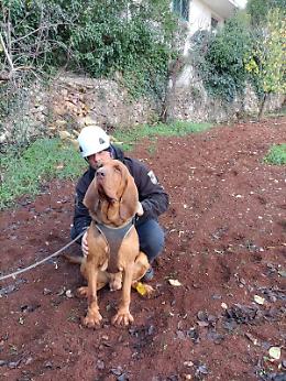 La morte del cane-eroe Bruno, ora la Aidaa offre una taglia di 1.500 euro