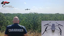 Ecco i droni ad alta tecnologia per aiutare i carabinieri forestali contro i crimini ambientali