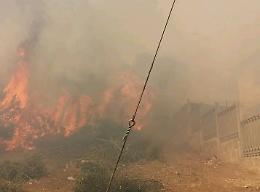 Incendi senza sosta, fiamme tra Crispiano e Statte: allarme in tutta la provincia