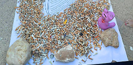 “Scola la sabbia” raccoglie oltre 20.000 mozziconi di sigarette sulla spiaggia di Pane e Pomodoro. Le foto