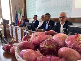 Ecco la regina rossa: torna la Festa della Cipolla tra sapori, ironia e identità