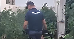 Marijuana in casa e 54 piante in giardino: arrestato un 47enne a Morciano di Leuca