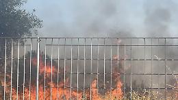 Incendi, estate di devastazione: già bruciati 6.941 ettari. Taranto è la seconda provincia più colpita