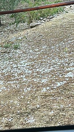 Dal caldo torrido alla grandine e bombe d’acqua. Devaste le campagne nel Nord Barese: danni fino al 50%