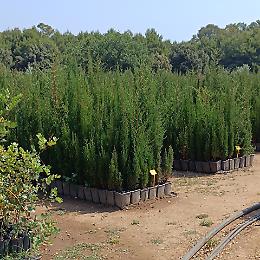 Arif, via libera al piano assunzioni: 85 nuovi ingressi entro il 2026