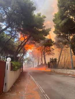 Fiamme a Lido Silvana: nuovo incendio nella pineta a un anno dal rogo mortale. Il video e le foto