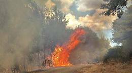 Lido Silvana, l'incendio riaccende la polemica: Di Lena accusa il Comune di scarsa prevenzione