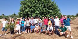 Agricoltura in crisi per la Xylella: si punta su colture alternative per salvare economia e paesaggio