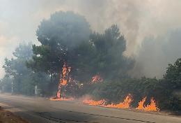 Incendi, Perrini: &ldquo;Serve una strategia strutturale e coordinata&rdquo;