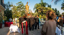 San Donato, festa patronale tra fede, storia e memoria di mons. Ricciardi. Le foto