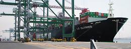 Porto di Taranto, traffico container crollato: “Serve una svolta nella gestione”