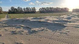 Nidificazione del fratino e concerti in spiaggia, «Chiarezza dall’amministrazione sulla tutela ambientale». Le foto