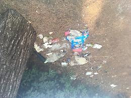 Parco Cimino trasformato in discarica, la denuncia: “Il polmone verde abbandonato al degrado”. Le foto