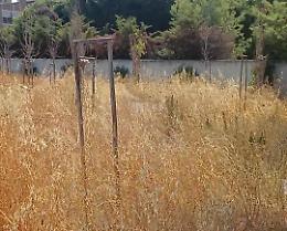 Il “campo scuola” di via Giachetti nell’abbandono: la denuncia di Articolo 97. Le foto della vergogna