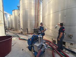 Maxi sequestro di falso Primitivo in Puglia: bloccati 1.500 quintali di vino per un valore di oltre 1,5 milioni di euro
