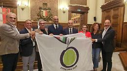 Ecco la bandiera delle Città dell’Olio: “Un impegno per tutelare il paesaggio e promuovere la cultura dell’extravergine”
