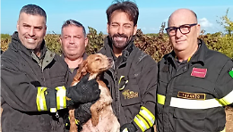 Cane da caccia cade in un pozzo, salvato dai Vigili del Fuoco. Le foto