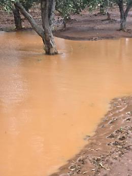 Coldiretti chiede lo stato di calamità per vento forte e piogge alluvionali