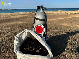 Bloccato un pescatore di frodo, sequestrati 200 ricci di mare