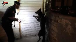 Lo spaccio? Un affare di famiglia: sei misure cautelari, sfruttavano anche 4 minorenni