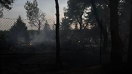 Incendio nella notte nella pineta di Pino di Lenne: ettari di macchia mediterranea in cenere