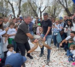 Decaro a Molfetta per la liberazione di tre tartarughe marine: “Prendersi cura del mare è difendere il nostro futuro”