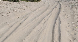 “Corse illegali di fuoristrada e cavalli che devastano le dune di Pino di Lenne”