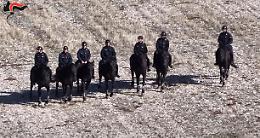 Maxi operazione dei Carabinieri contro furti e illegalità nelle campagne. Le foto